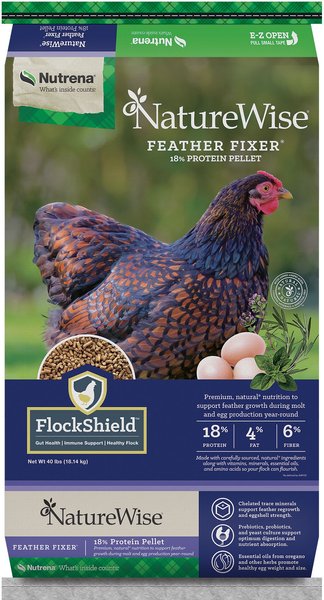 An industrial chicken feather problem — Featherfolio