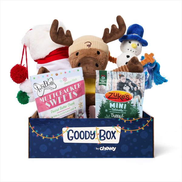 Goody Box Holiday Dog Toys Treats Medium Large