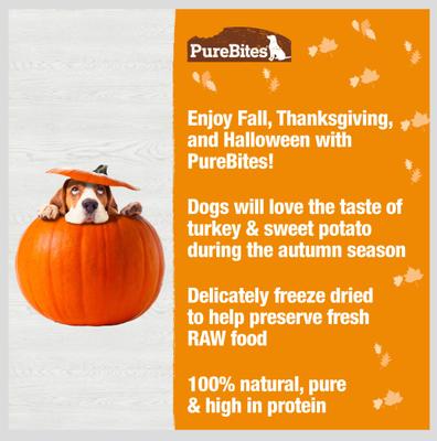 Show full view: PureBites Turkey & Sweet Potato Freeze-Dried Dog Treats, 2.5-oz bag slide 5 of 9