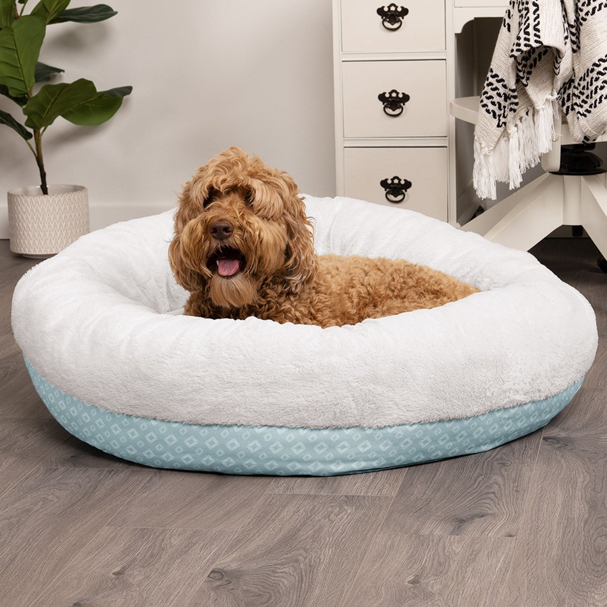 Diamond dog hot sale bed