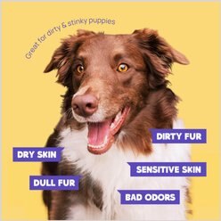 HICC PET Deodorizing Cat & Dog Glove Wipes, 20 count slide 2 of 7
