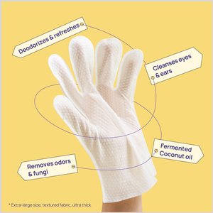 HICC PET Deodorizing Cat & Dog Glove Wipes, 20 count