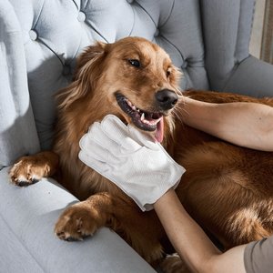 HICC PET Deodorizing Cat & Dog Glove Wipes, 20 count