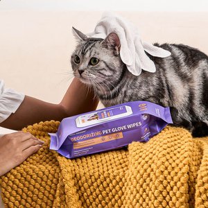 HICC PET Deodorizing Cat & Dog Glove Wipes, 20 count