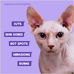 HICC PET 2X Power Wound & Antimicrobila Cat & Dog Skin Treatment Spray, 10.1-oz bottle slide 2 of 6