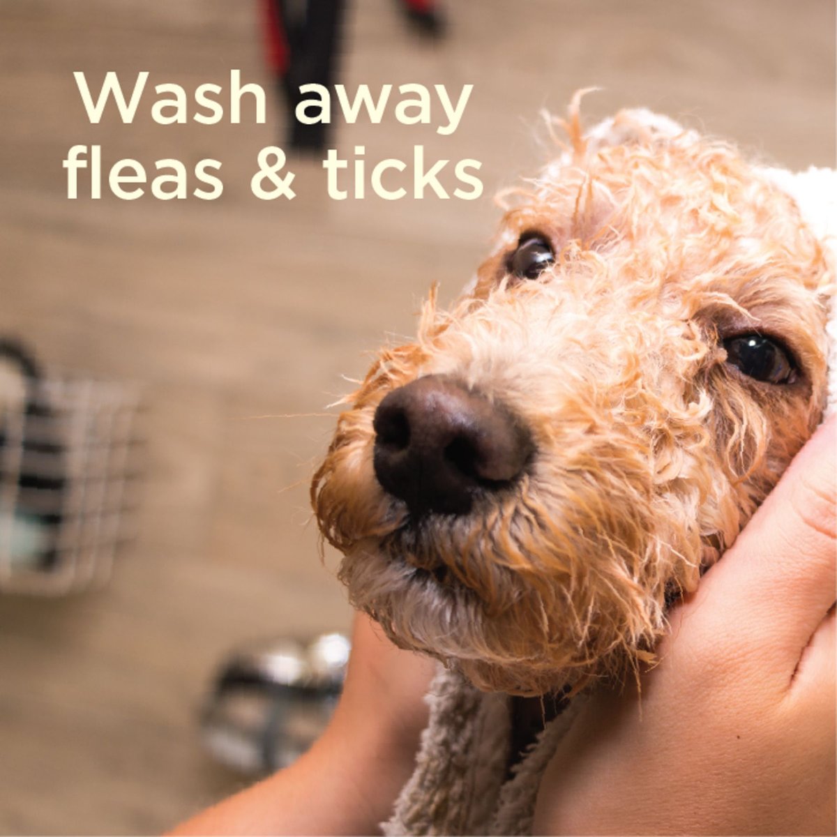 Dog Wash Flea & Tick Dog Shampoo