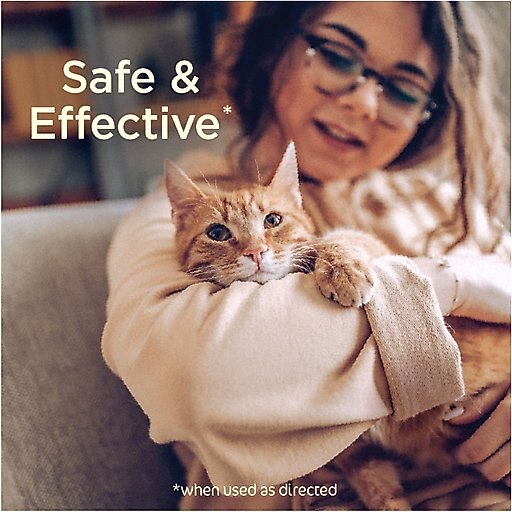 SimpleSource Flea & Tick Cat Shampoo