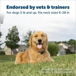 PetSafe Stay+Play Wireless Fence Receiver Collar slide 2 of 7