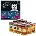 Pedigree Choice Cuts In Gravy Beef & Country Stew Canned Variety Pack + Cesar Filets in Gravy Beef Flavors Variety Pack Wet Dog Food