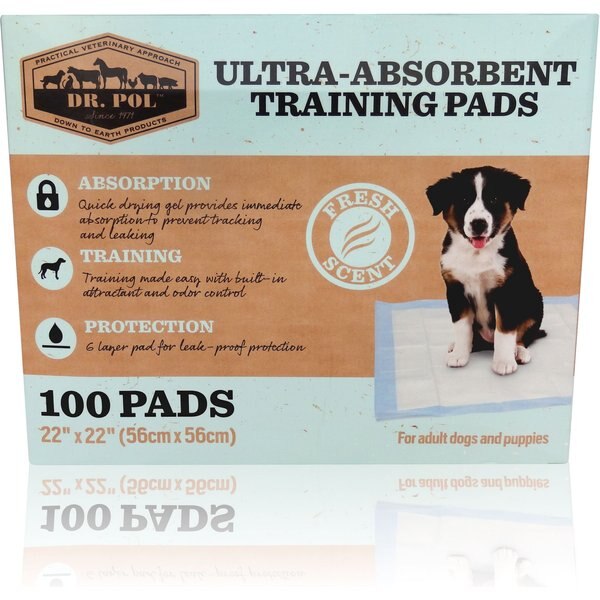 DR. POL 22x22in Dog Training Pad, 100 count