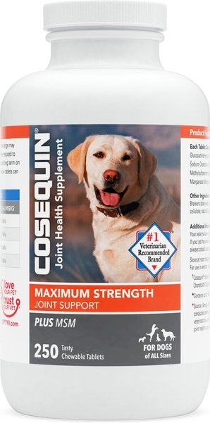 Nutramax Cosequin Hip & Joint Maximum Strength Plus MSM Chewable Tablets Joint Supplement for Dogs, 250 count slide 1 of 10
