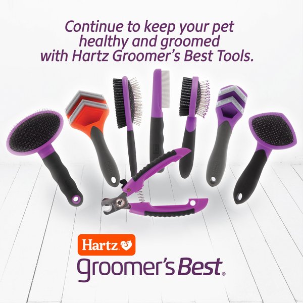 Hartz Groomer's Best Fur Fetcher DeShedding Dog Brush