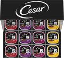 Cesar Classic Loaf in Sauce Variety Pack Wet Dog Food, 3.5-oz tray, case of 60