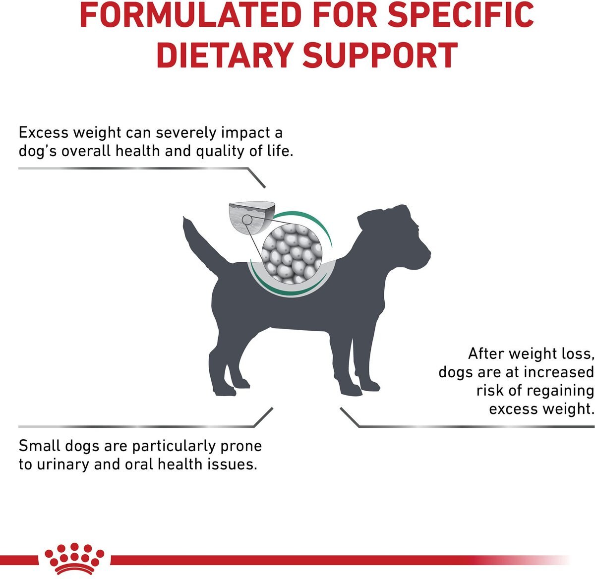 Satiety support 2024 small dog