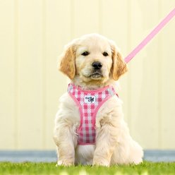 Curli Vest Air-Mesh Dog Harness & Dog Leash, Pink, XXX-Small slide 2 of 9