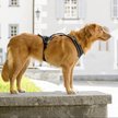Curli Belka Comfort Harness Köpek Göğüs Tasması Kırmızı XSmall