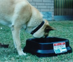 Tuff Stuff Products Versapan Square Pan Farm Animal Feeder, 2.5-gal slide 2 of 2