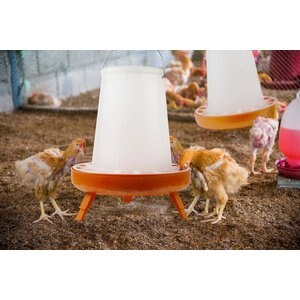 Tuff Stuff Products Poultry Feeder Folding Leggs Farm Animal Feeder, 11-lb