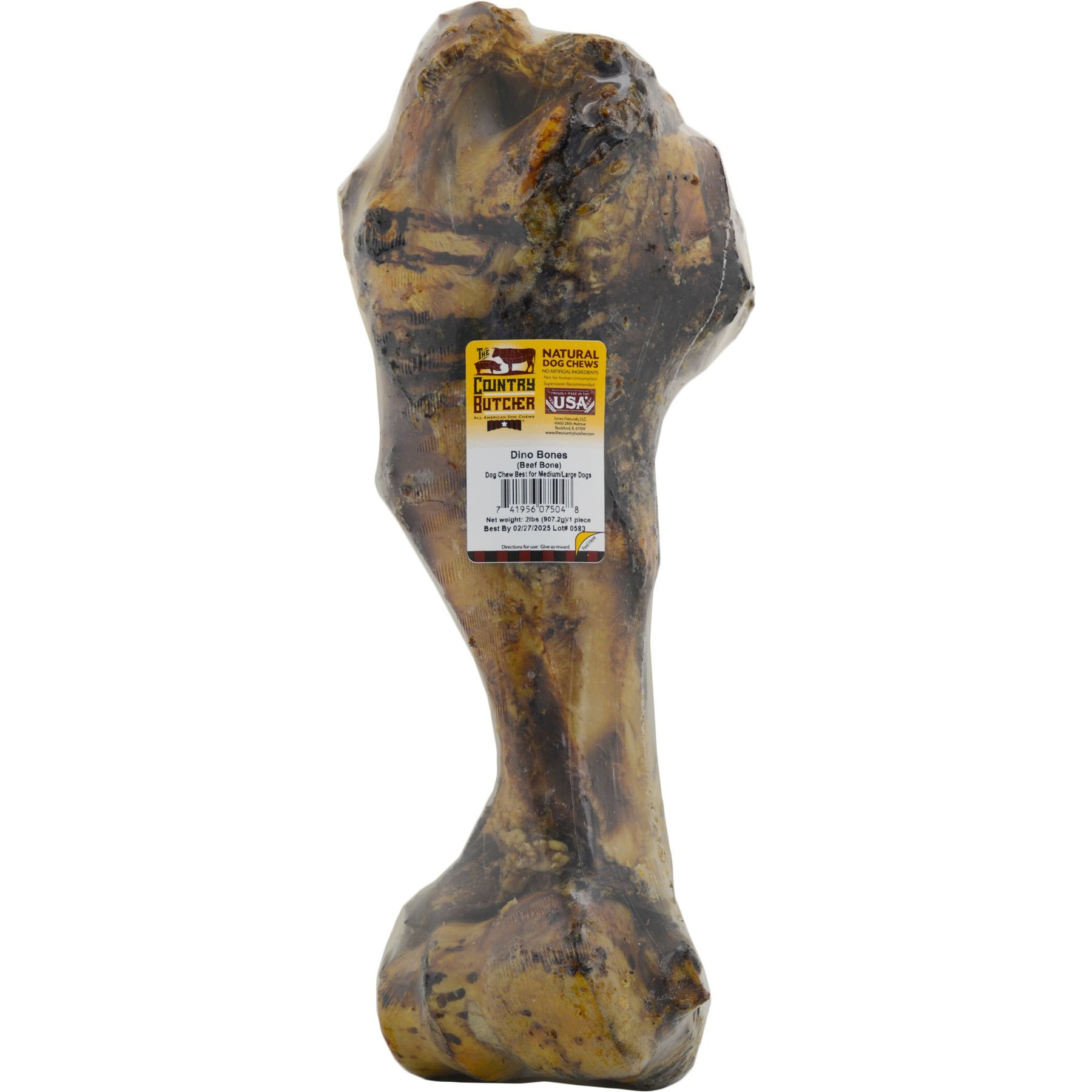 Dino bones best sale for dogs