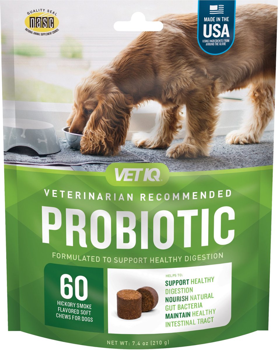 VetIQ Probiotic Soft Chew Supplement for Dogs
