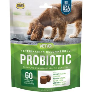 VetIQ Probiotic Soft Chew Supplement for Dogs, 60 count