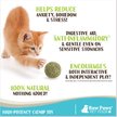 Four Paws Super Catnip Ball Cat Toy