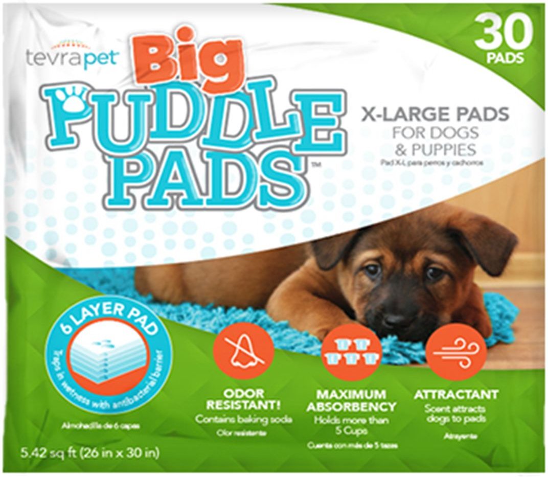 do puppy pads attract dogs