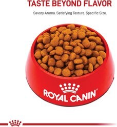 Royal Canin Size Health Nutrition Large Adult Dry Dog Food, 30-lb bag slide 2 of 8