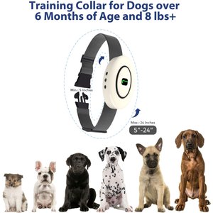 Petdiary B360 Rechargeable Static Dog Bark Collar, White, Small