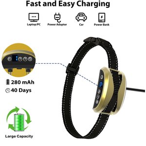 Petdiary 165-G Static Rechargeable Dog Bark Control Collar, Gold, Small