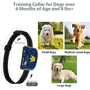 Petdiary B320 Rechargeable Static Dog Bark Collar, Blue, Small