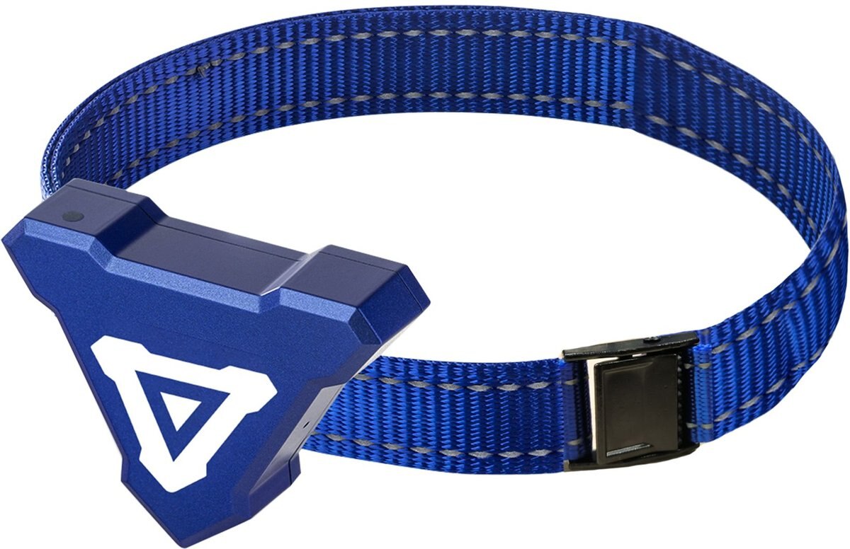 PETDIARY T240 Extra Collar Receiver, Blue, Small