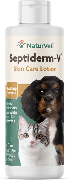 can you use regular lotion on dogs