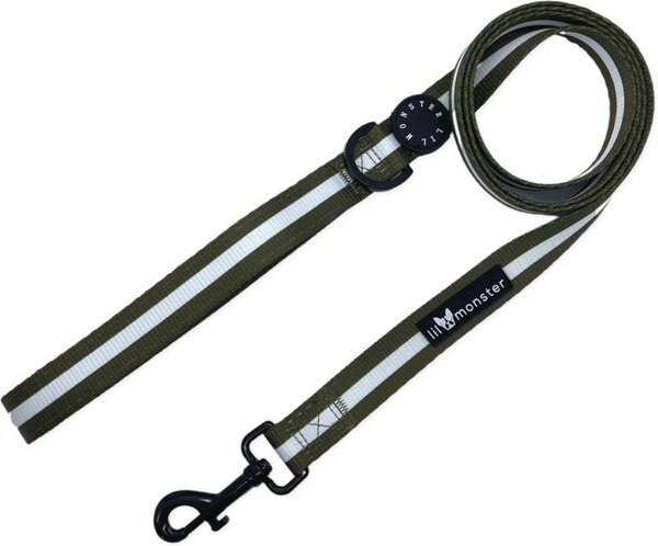 Lil Monster Pets Comfort Dog Leash