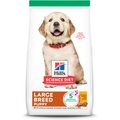 Hill's Science Diet Puppy Large Breed Chicken & Brown Rice Recipe Dry Dog Food, 27.5-lb bag