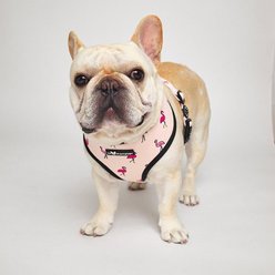 Lil Monster Pets Neoprene Reversible Dog Harness, Flamingo, X-Small slide 2 of 4