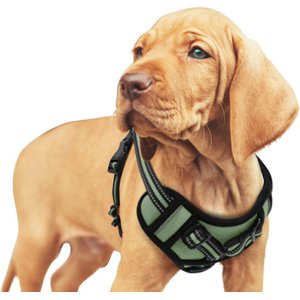 Jespet Goopaws Adjustable Padded Easy Control Lightweight Reflective Dog Harness, Green, Small