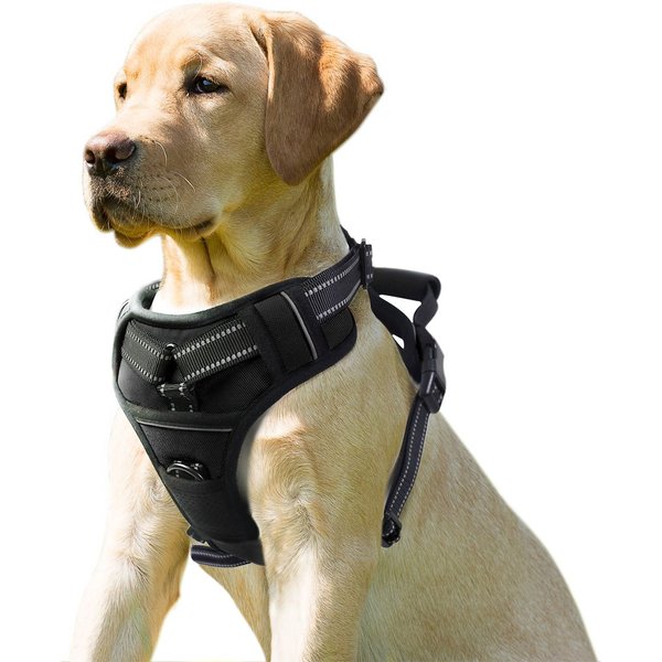 PETSAFE CareLift Rear Handicapped Support Dog Harness, Large - Chewy.com