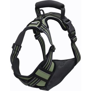 Jespet Goopaws Adjustable Padded Easy Control Lightweight Reflective Dog Harness, Green, Large