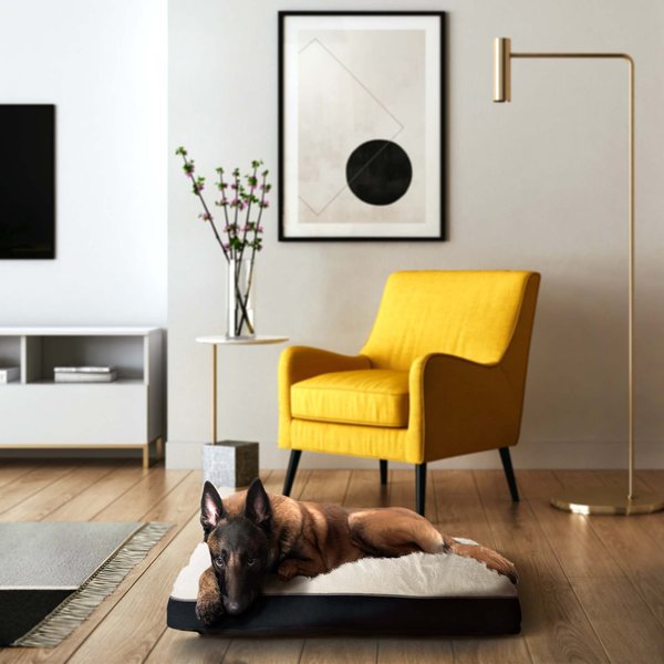 FRISCO Eyelash Cat & Dog Bolster Bed, Sand, Small