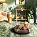 Max & Marlow Luxurious Oval Bolster Cuddler Cat & Dog Bed, Taupe, X-Large