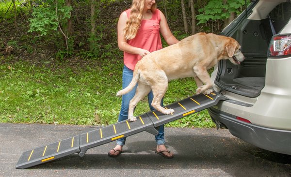 Pet Gear Reflective Extra Wide Foldable Dog Car Ramp, Tri-fold slide 1 of 6