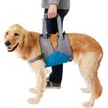 Kurgo Up & About Lifter Handicapped Support Dog Harness