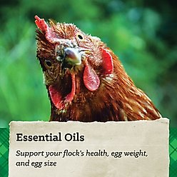 Nutrena NatureWise Egg Producer 21% Protein Layer Pellet Chicken Feed, 50-lb bag slide 2 of 7