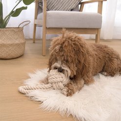 Louie Living Urban Toy Tug Rope Dog Toy, Cream, Small slide 2 of 2