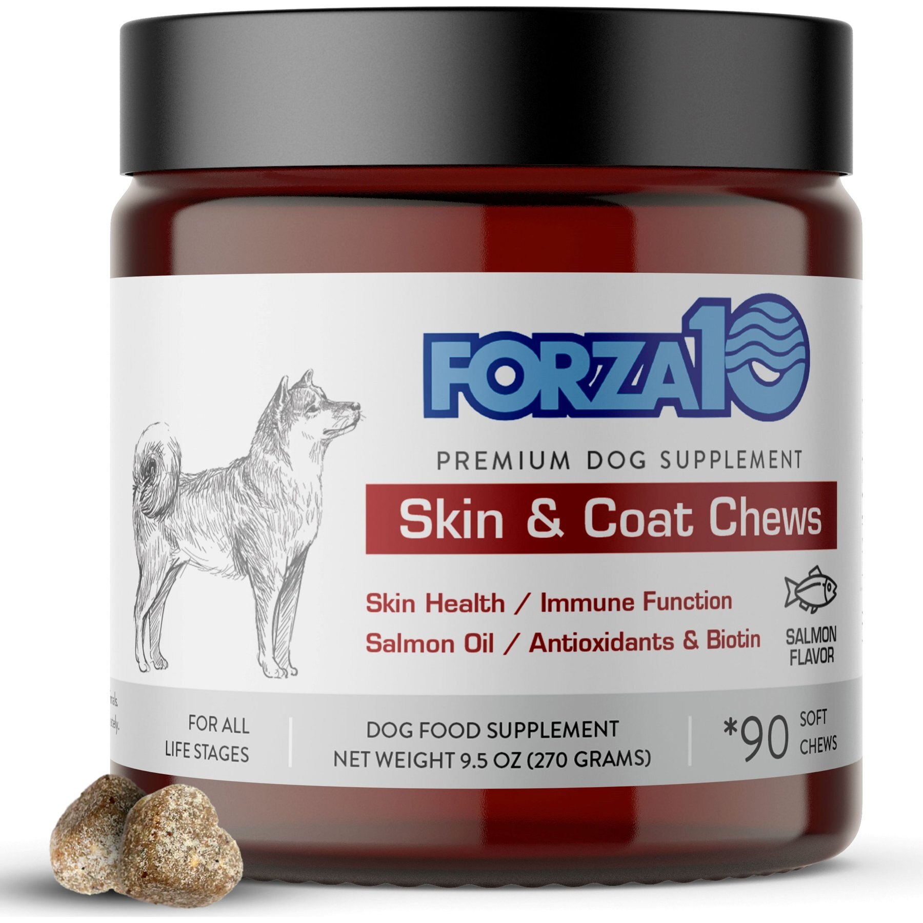 Forza10 Skin & Coat Salmon Flavored Soft Chews Skin & Coat Supplement for Dogs, 90 count