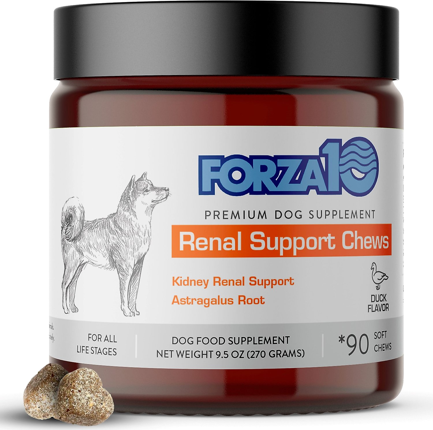 forza10-renal-support-duck-flavored-soft-chews-kidney-urinary-dog