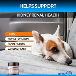 Forza10 Renal Support Duck Flavored Soft Chews Kidney & Urinary Dog Supplement, 90 count slide 2 of 6