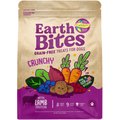 Earthborn Holistic Lamb Flavored Crunchy Dog Treats, 2-lb bag