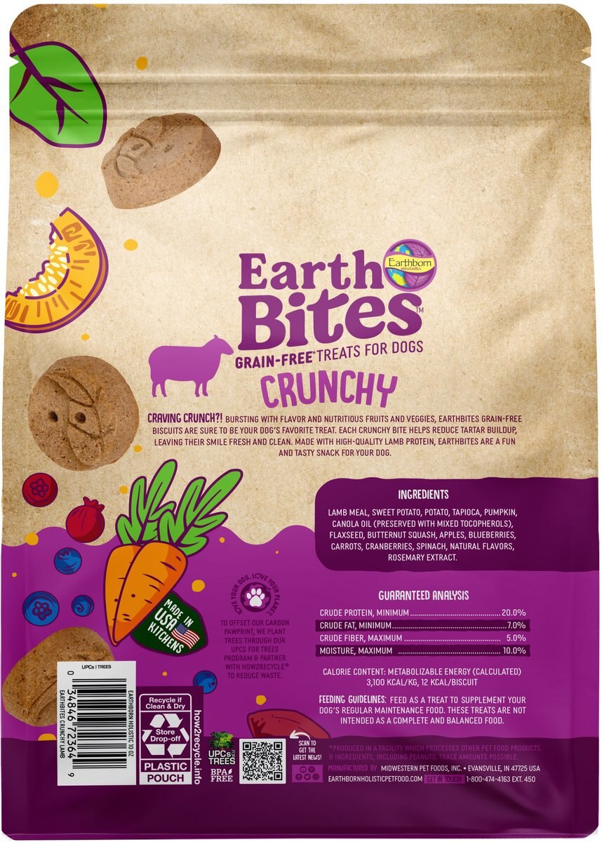 EARTHBORN HOLISTIC Lamb Flavored Crunchy Dog Treats, 10oz bag